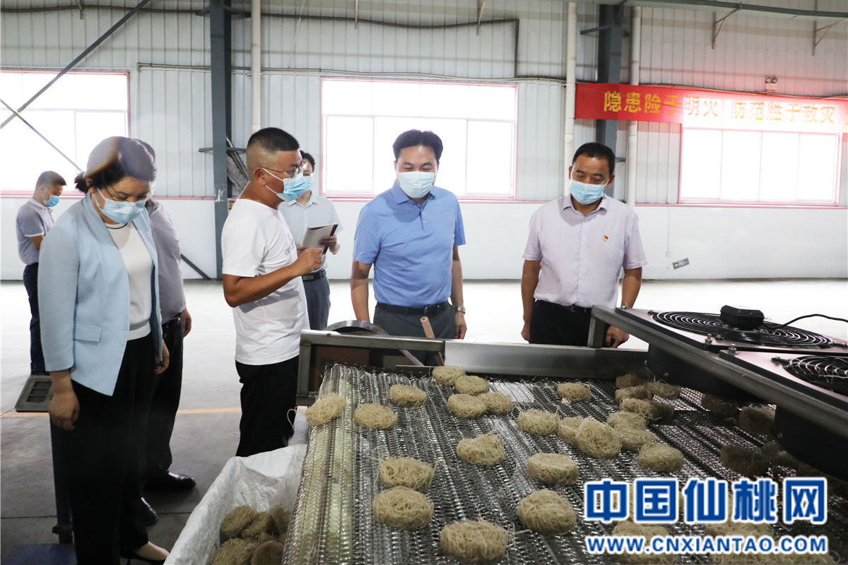 Luo Lianfeng went to Zhanggou in Ganhe Huchang to inspect and supervise epidemic prevention and control work